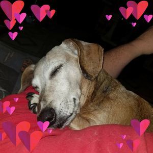 Meet your Posher, Sharon